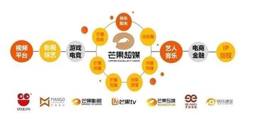 芒果超媒上半年業(yè)績(jī)飆升 扣非凈利勁增74倍，會(huì)員與廣告業(yè)務(wù)雙翼齊飛